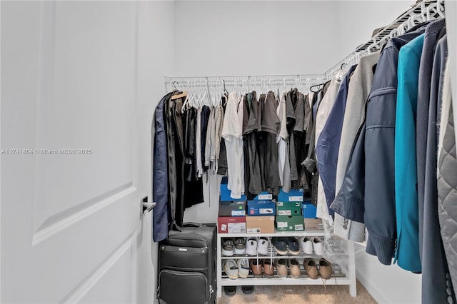 spacious closet featuring carpet flooring