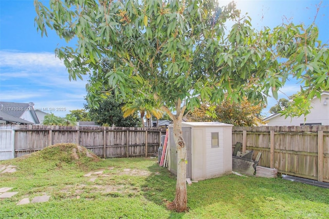 view of yard with a storage unit