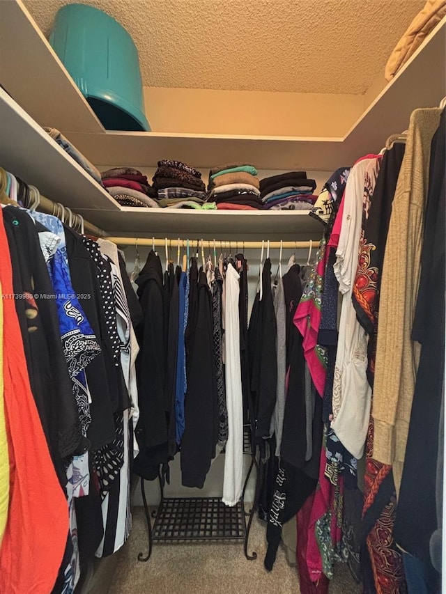 walk in closet featuring carpet flooring