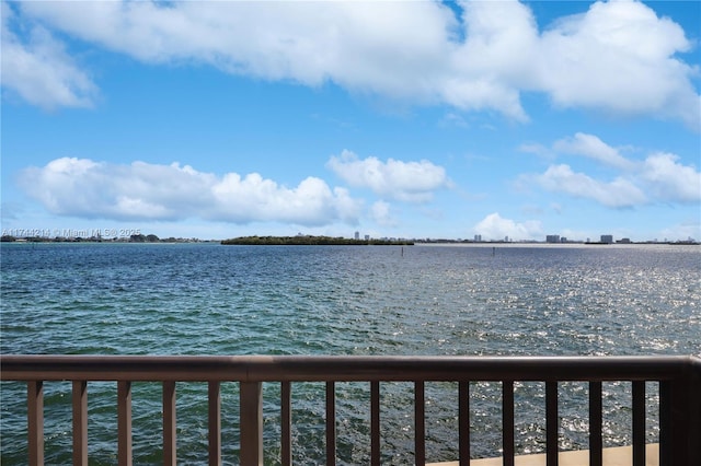 view of water feature