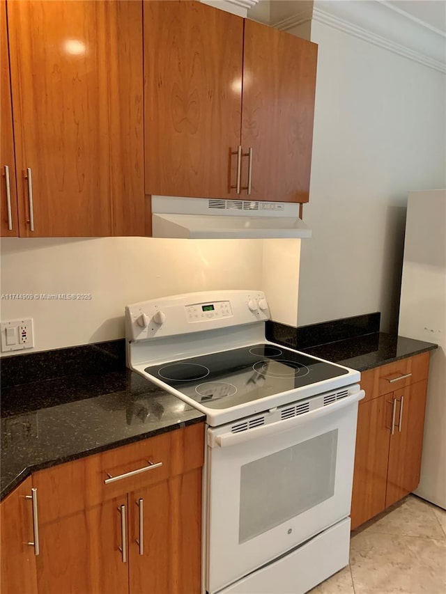 kitchen with electric stove, fridge, ornamental molding, and dark stone countertops