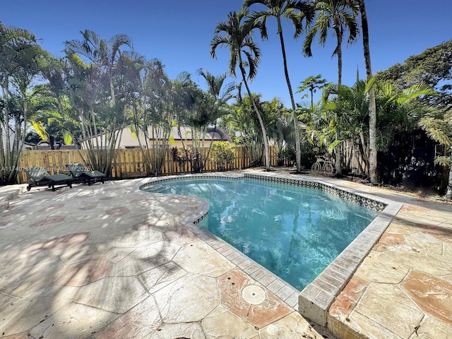 view of swimming pool featuring a patio