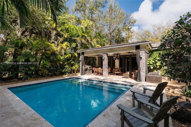 pool featuring a storage structure, a patio, and an outbuilding