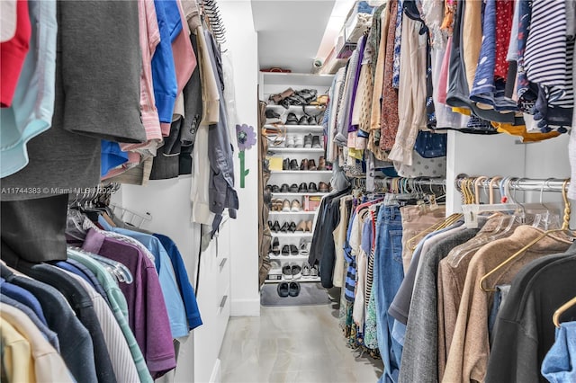 view of spacious closet