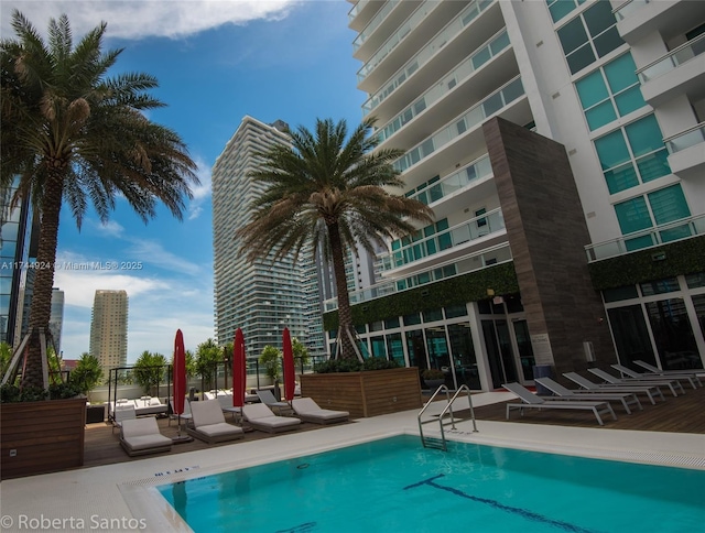 view of pool with a patio area