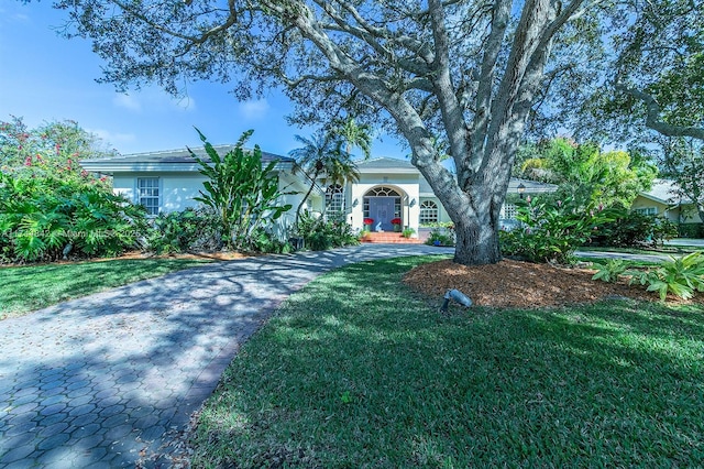 view of front of home featuring a front yard, driveway, and stucco siding