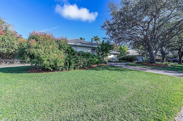 view of yard with driveway