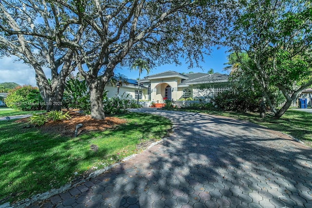 view of front of home featuring aphalt driveway, a front yard, and stucco siding