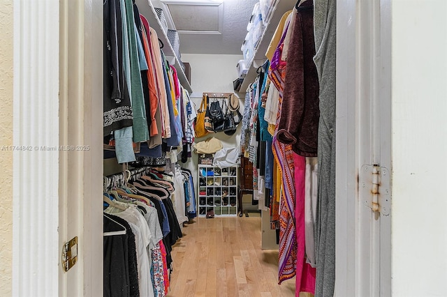 walk in closet featuring attic access and wood finished floors