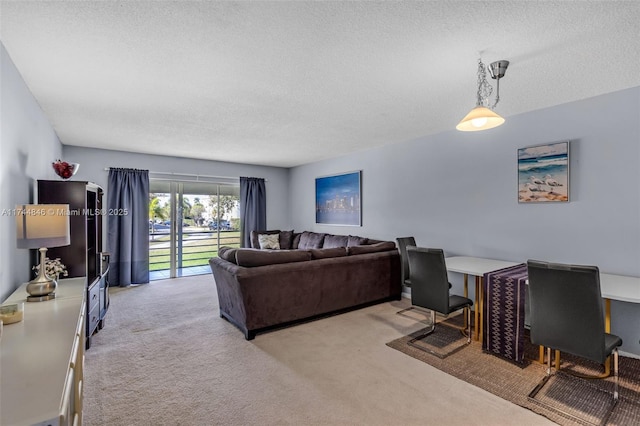 living area with carpet and a textured ceiling