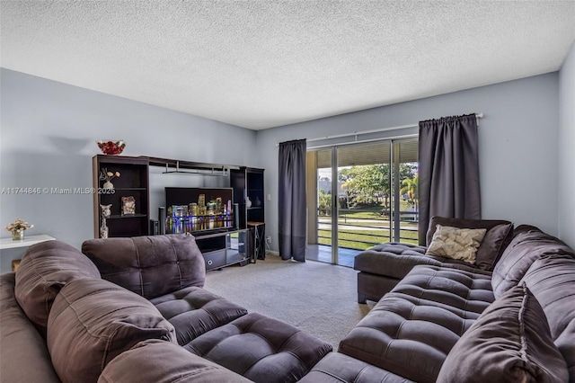 living room with carpet and a textured ceiling