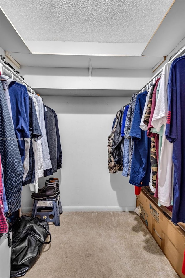 spacious closet with carpet flooring