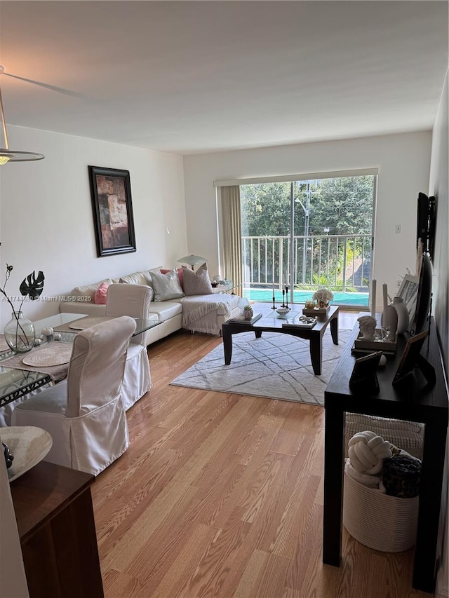 living room with light hardwood / wood-style floors