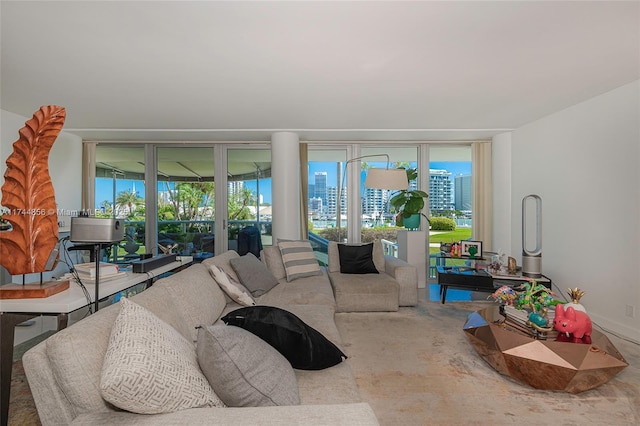 living room with a wall of windows and plenty of natural light