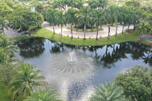 property view of water