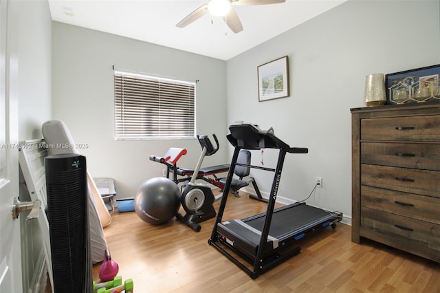 exercise area with ceiling fan and light wood-type flooring