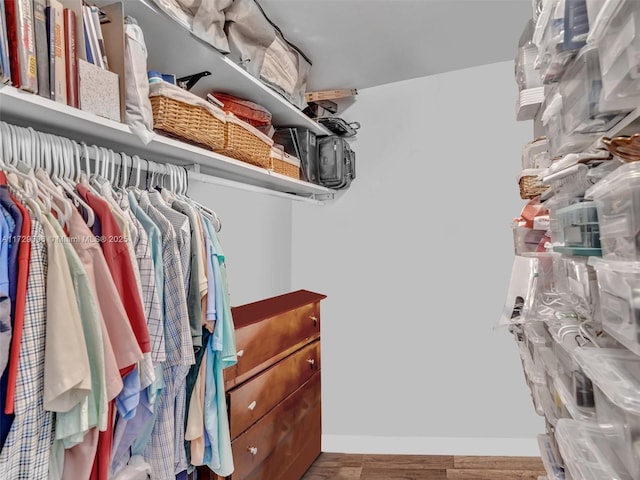 spacious closet with hardwood / wood-style floors