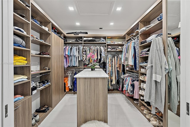 view of spacious closet