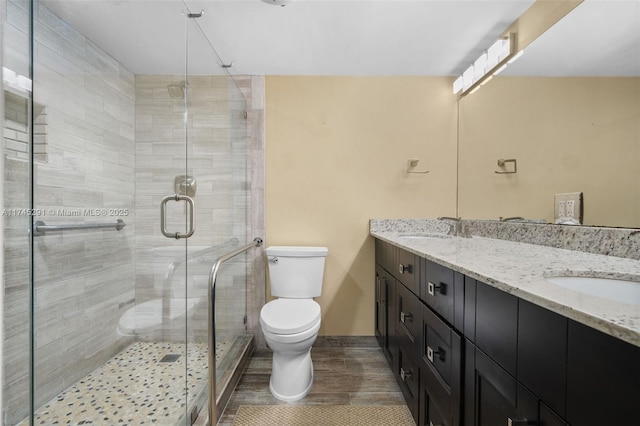 bathroom with vanity, toilet, and a shower with shower door