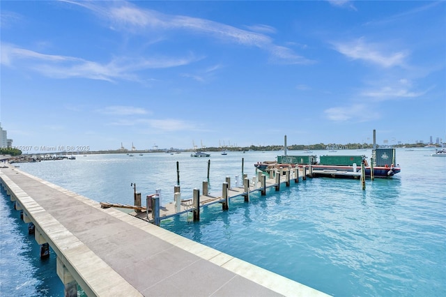 dock area with a water view