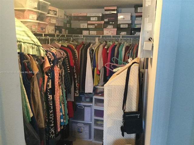 view of walk in closet