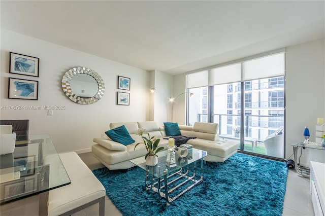 living room with expansive windows