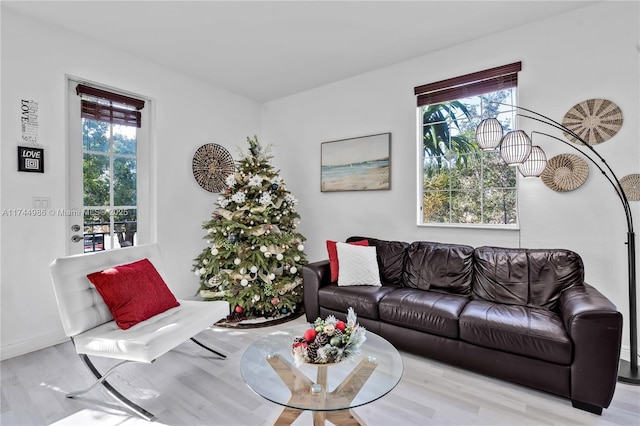 living area featuring baseboards, plenty of natural light, and wood finished floors