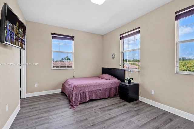 bedroom featuring multiple windows and light hardwood / wood-style floors