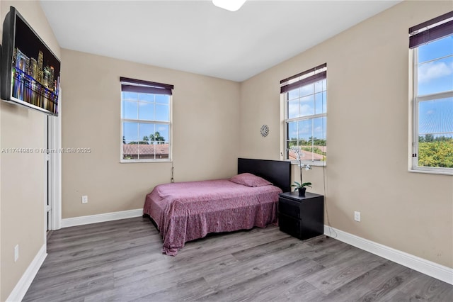bedroom with baseboards, multiple windows, and wood finished floors