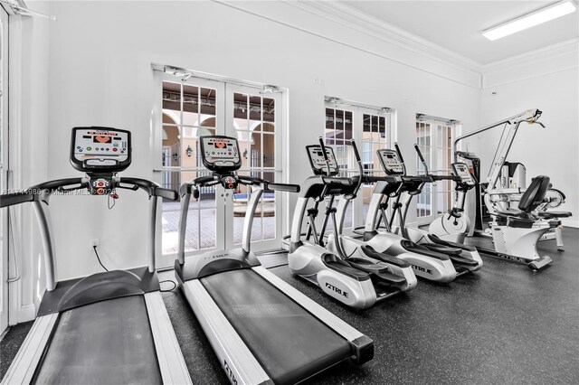 exercise room featuring french doors, a healthy amount of sunlight, and ornamental molding