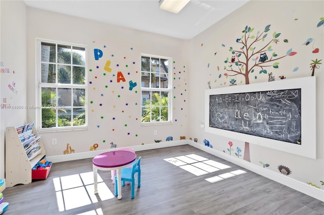 playroom with wood finished floors, baseboards, and a wealth of natural light