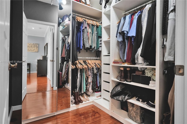 walk in closet with wood-type flooring