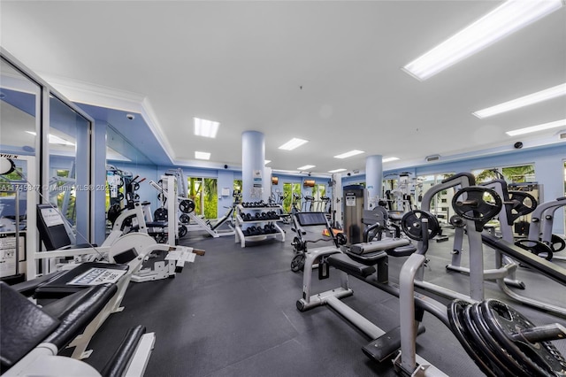 workout area featuring french doors and plenty of natural light