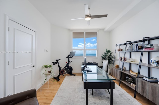 office with hardwood / wood-style flooring and ceiling fan