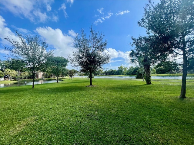 view of community featuring a water view and a yard