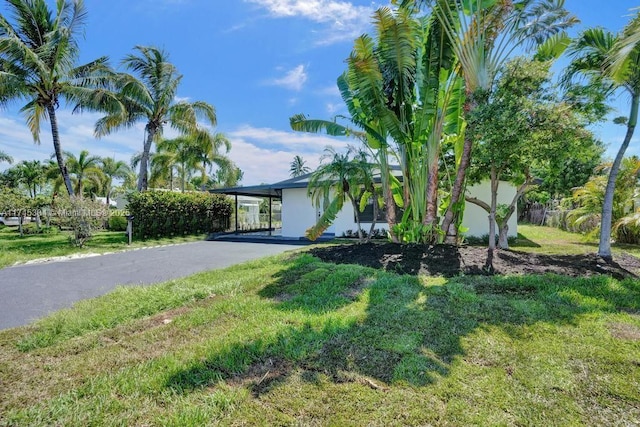 view of front of property with driveway, an attached carport, a front yard, and stucco siding