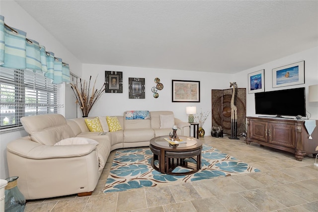 living room with a textured ceiling