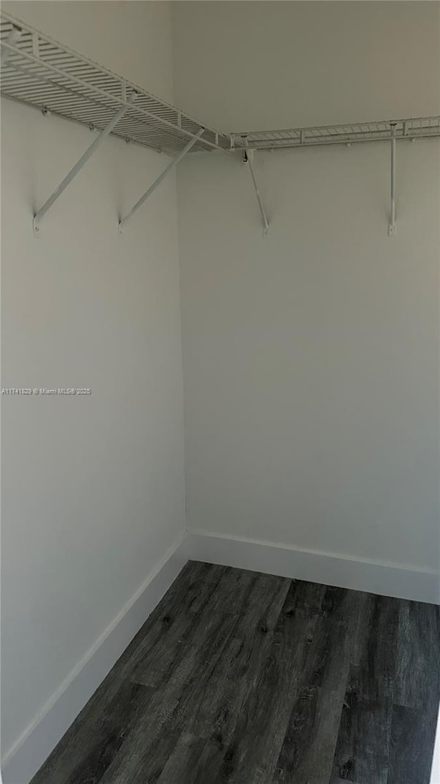 spacious closet featuring dark wood-type flooring