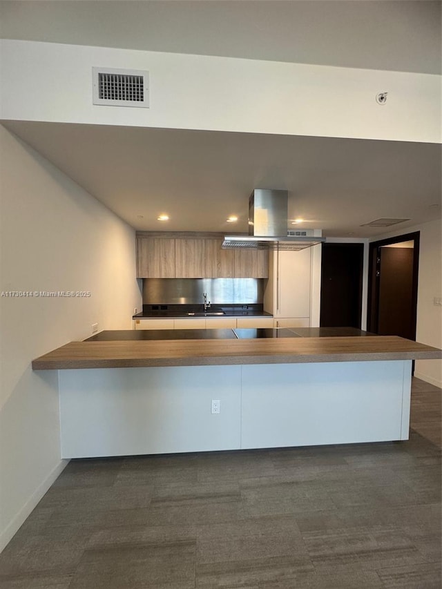 kitchen with sink, kitchen peninsula, and island exhaust hood