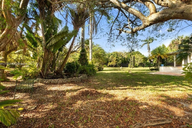view of yard featuring a patio