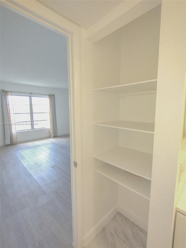 view of closet