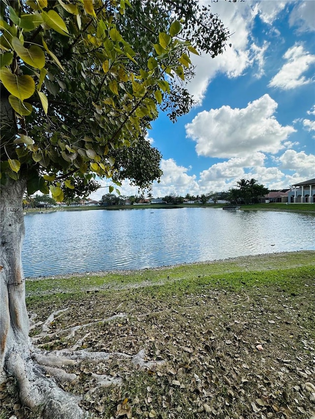 property view of water