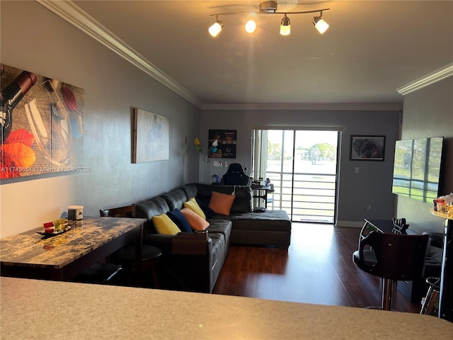 living room featuring crown molding and dark hardwood / wood-style floors