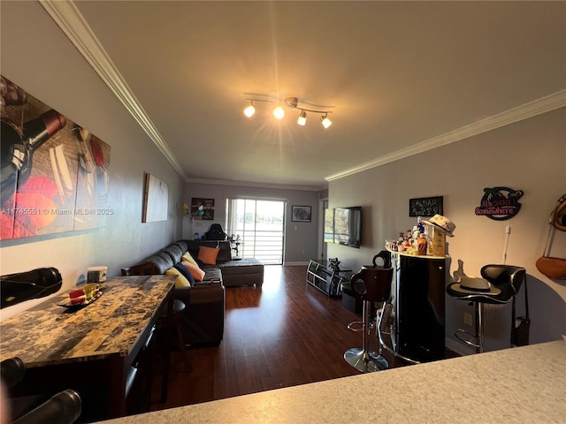 living room featuring crown molding and dark wood-type flooring