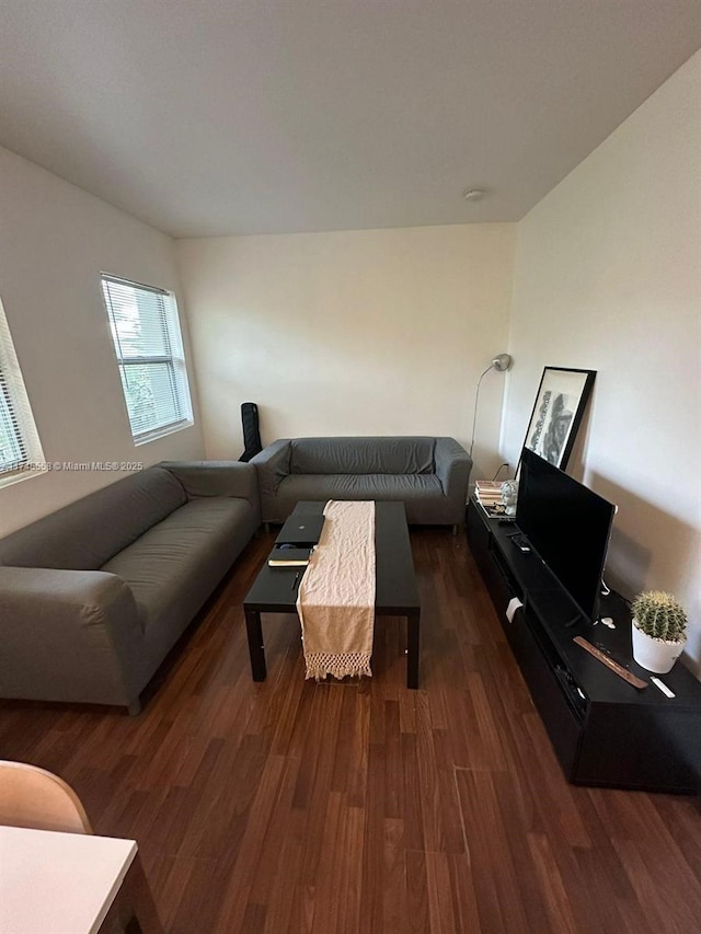 living room with dark wood finished floors