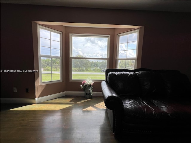 sitting room featuring hardwood / wood-style flooring