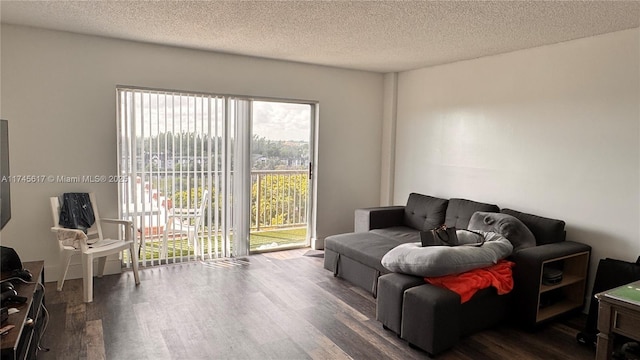 living room with dark hardwood / wood-style floors and a textured ceiling