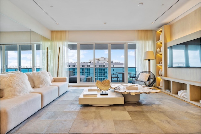 living room with a wealth of natural light