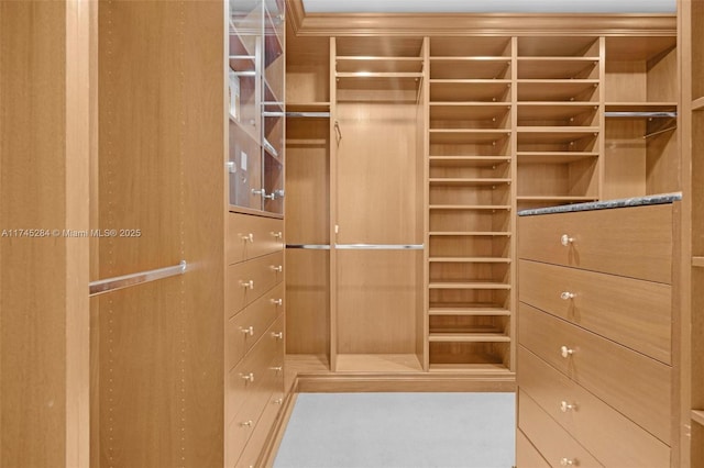 view of spacious closet