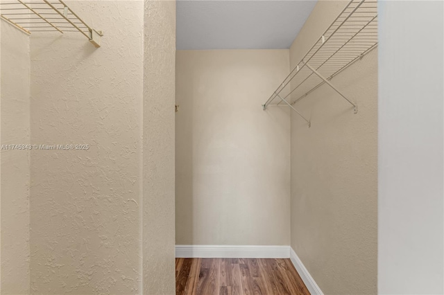 spacious closet featuring wood-type flooring